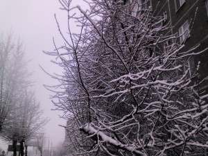 в Екатеринбурге за день выпала месячная норма снега