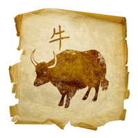 bull-zodiak-sign-year