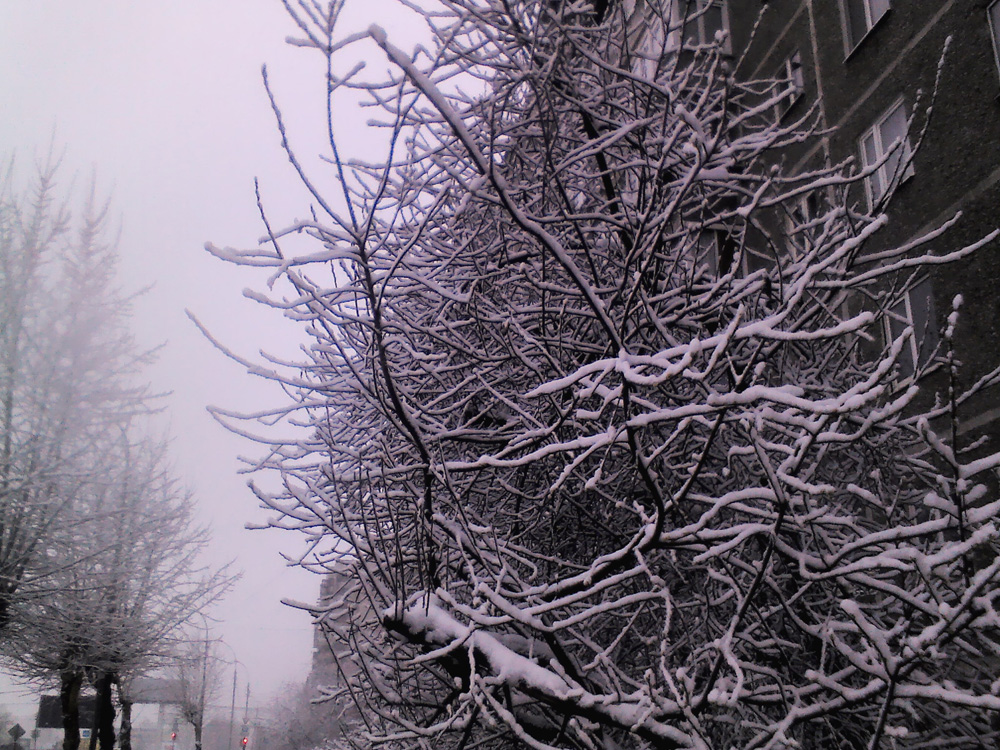 в Екатеринбурге за день выпала месячная норма снега